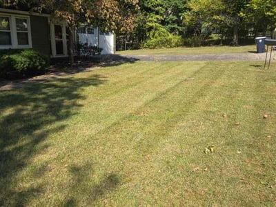 Lawn Care service in Long Island City, 11101
