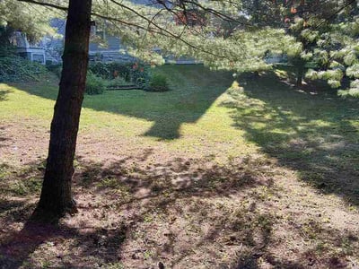 Lawn Care service in Valley Stream, 11580