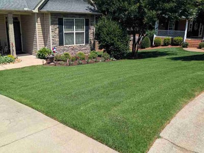 Lawn Care service in Spartanburg, 29306