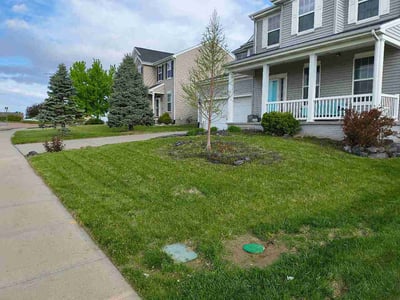 Lawn Care service in Sparks, 89431