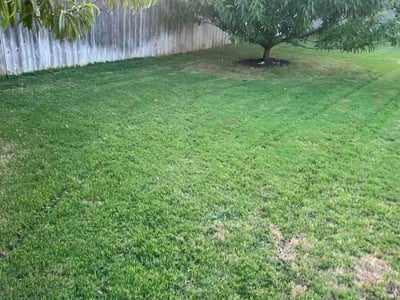 Lawn Care service in Harker Heights, 76548