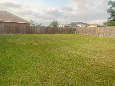 Lawn Care service in Corona, 11368