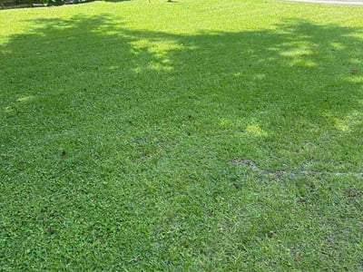 Lawn Care service in Rego Park, 11374