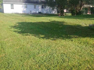 Lawn Care service in Elizabethton, 37643