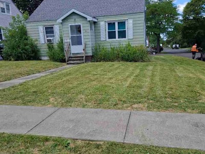 Lawn Care service in Howard Beach, 11414