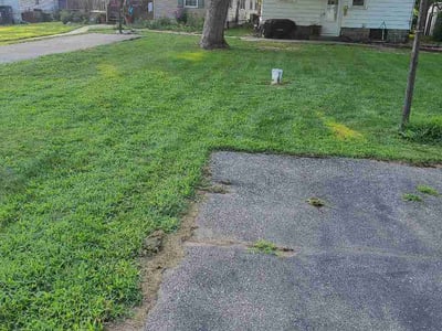 Lawn Care service in Saint Joseph, 49085