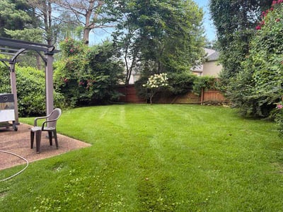 Lawn Care service in Elizabethton, 37643