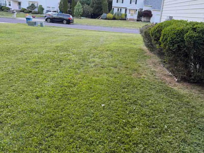 Lawn Care service in Paterson, 07505