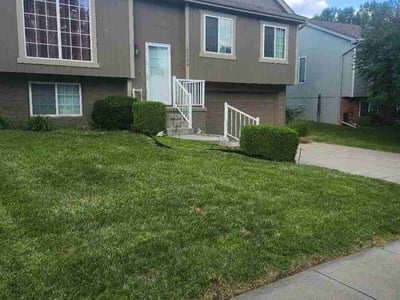 Lawn Care service in Springfield Gardens, 11434