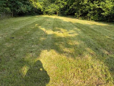 Lawn Care service in Saginaw, 48601
