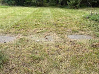 Lawn Care service in Saginaw, 48601