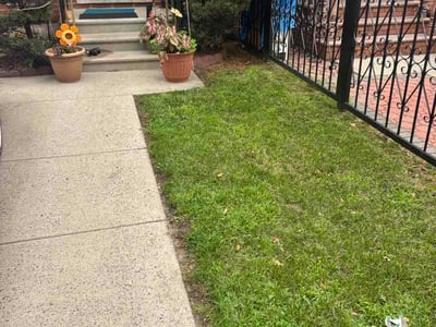 Lawn Care service in Bayside, 11361