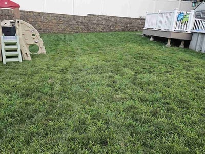 Lawn Care service in North Bergen, 07047