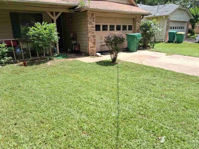 Lawn Care service in Texarkana, 75501