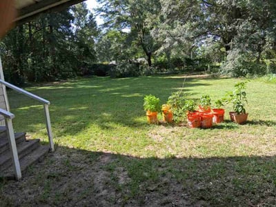 Lawn Care service in Texarkana, 75501