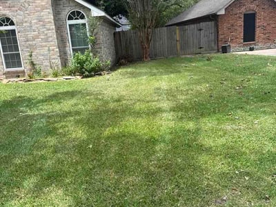 Lawn Care service in Texarkana, 75501