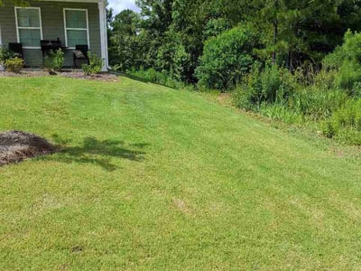 Lawn Care service in Macon, 31201