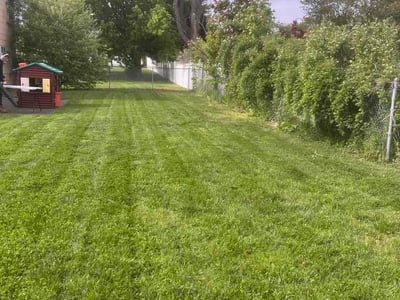 Lawn Care service in Long Beach, 11561