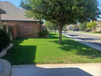 Lawn Care service in Midland, 79701