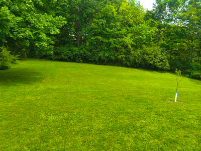 Lawn Care service in West Lafayette, 47906
