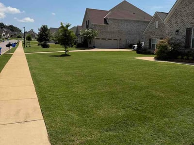 Lawn Care service in Prattville, 36067