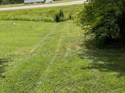 Lawn Care service in Jamaica, 11432