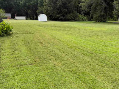 Lawn Care service in Jonesboro, 72401