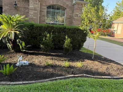 Lawn Care service in Merrick, 11566