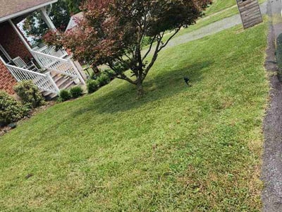 Lawn Care service in Staunton, 24401