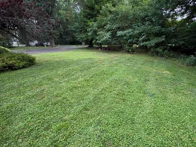 Lawn Care service in Jersey City, 07302
