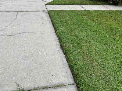 Lawn Care service in Richmond Hill, 11418