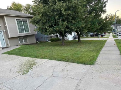 Lawn Care service in Idaho Falls, 83402
