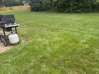Lawn Care service in Idaho Falls, 83402