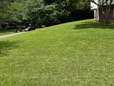 Lawn Care service in Owensboro, 42303