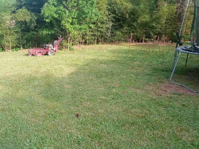 Lawn Care service in Bay Shore, 11706