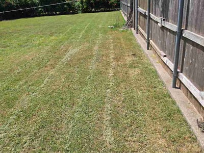 Lawn Care service in Lawton, 73501