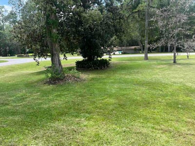 Lawn Care service in Gainesville, 32601