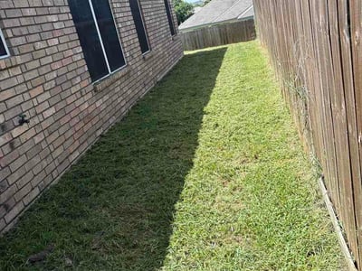 Lawn Care service in Killeen, 76541