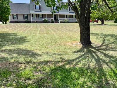 Lawn Care service in Okatie, 29909