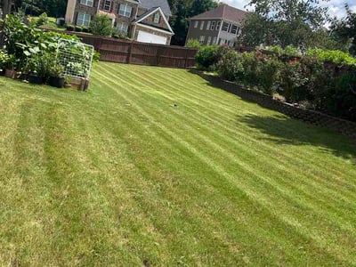 Lawn Care service in Merced, 95340