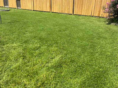 Lawn Care service in Henderson, 75652