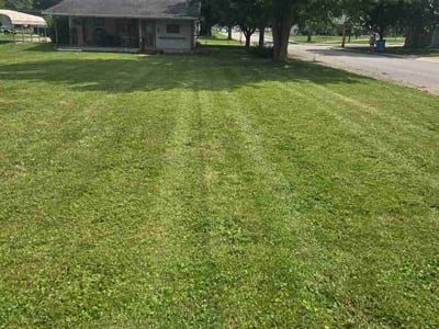 Lawn Care service in Beloit, 53511