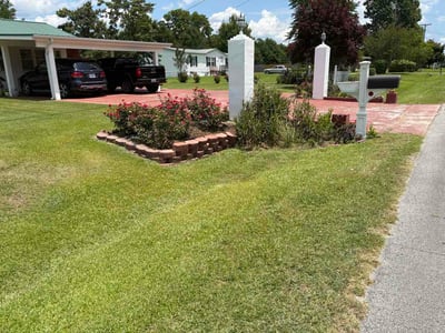 Lawn Care service in Lenoir, 28645