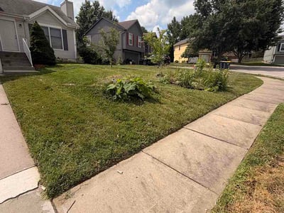 Lawn Care service in Rockville Centre, 11570