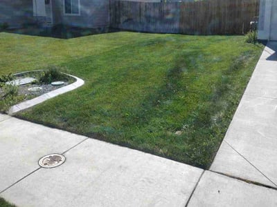 Lawn Care service in Central Point, 97502