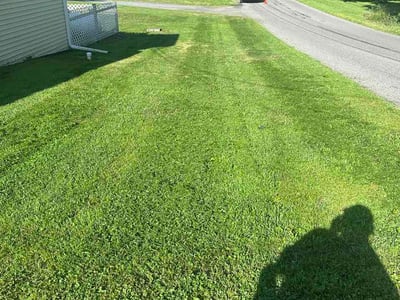 Lawn Care service in Kingston, 12401