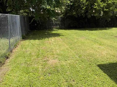 Lawn Care service in Belton, 76513