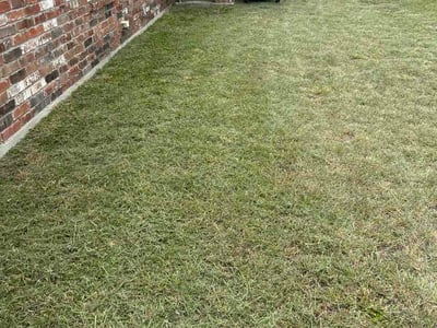 Lawn Care service in Belton, 76513