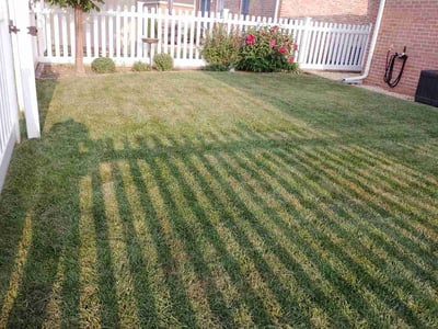 Lawn Care service in Hagerstown, 21740