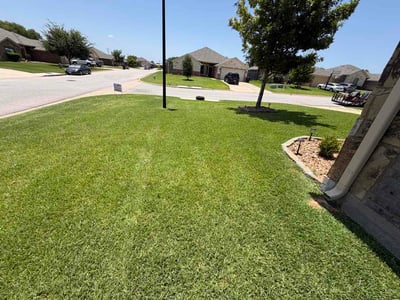 Lawn Care service in Temple, 76501